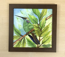 Carregar imagem no visualizador da galeria, Ilustração Beija-flôr, Pintura Pássaro, Quadro de pássaro, Decoração, Reprodução, Arte, Edição Limitada, Número de série, Papel Fotografia