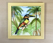 Carregar imagem no visualizador da galeria, Ilustração Araçarí, Pintura Pássaro, Quadro, Natureza, Decoração, Reprodução Original, Edição Limitada, Número de série, Fineart, Giclée