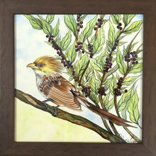 Carregar imagem no visualizador da galeria, Ilustração Anú-Branco, Pintura Pássaro, Quadro, Natureza, Decoração, Reprodução Original, Edição Limitada, Número de série, Fineart, Giclée