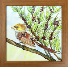 Carregar imagem no visualizador da galeria, Ilustração Anú-Branco, Pintura Pássaro, Quadro, Natureza, Decoração, Reprodução Original, Edição Limitada, Número de série, Fineart, Giclée