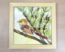 Carregar imagem no visualizador da galeria, Ilustração Anú-Branco, Pintura Pássaro, Quadro, Natureza, Decoração, Reprodução Original, Edição Limitada, Número de série, Fineart, Giclée