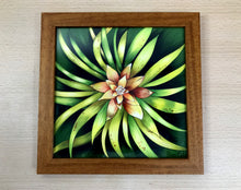 Carregar imagem no visualizador da galeria, Ilustração Bromélia, Planta Tropical, Floresta, Quadro, Decoração, Reprodução, Edição Limitada, Número de série, Papel Fotografico, Giclée