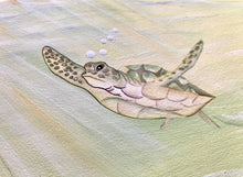 Carregar imagem no visualizador da galeria, Ilustração Tartarugas, Tartarugas marinhas, Quadro, Decoração, Reprodução do Original, Edição Limitada, Número de série, Fine Art, Decor