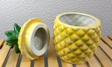 Carregar imagem no visualizador da galeria, Caixa Ananás pintado à mão 13x24 cm