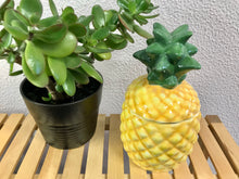 Carregar imagem no visualizador da galeria, Caixa Ananás pintado à mão 13x24 cm