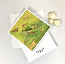 Carregar imagem no visualizador da galeria, Cartão (Postal) reprodução de peça original pintada a mão - Tartarugas - 15cm