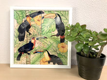 Carregar imagem no visualizador da galeria, Ilustração Pássaros Trotical, Tucanos, floresta, Quadro, Decoração, Reprodução do Original, Edição Limitada, Número de série, tamanho Médio