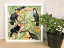 Carregar imagem no visualizador da galeria, Ilustração Pássaros Trotical, Tucanos, floresta, Quadro, Decoração, Reprodução do Original, Edição Limitada, Número de série, tamanho Médio