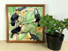 Carregar imagem no visualizador da galeria, Ilustração Pássaros Trotical, Tucanos, floresta, Quadro, Decoração, Reprodução do Original, Edição Limitada, Número de série, tamanho Médio