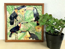 Carregar imagem no visualizador da galeria, Ilustração Pássaros Trotical, Tucanos, floresta, Quadro, Decoração, Reprodução do Original, Edição Limitada, Número de série, tamanho Médio
