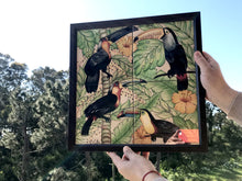 Carregar imagem no visualizador da galeria, Ilustração Pássaros Trotical, Tucanos, floresta, Quadro, Decoração, Reprodução do Original, Edição Limitada, Número de série, tamanho Médio