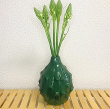 Carregar imagem no visualizador da galeria, Jarra de Flor - Verde - 20X14CM