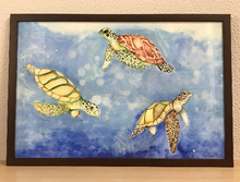 Carregar imagem no visualizador da galeria, Ilustração Tartarugas, Tartarugas marinhas, Quadro, Decoração, Reprodução do Original, Edição Limitada, Número de série, Fine Art, Decor
