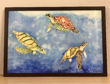Carregar imagem no visualizador da galeria, Ilustração Tartarugas, Tartarugas marinhas, Quadro, Decoração, Reprodução do Original, Edição Limitada, Número de série, Fine Art, Decor