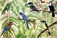 Quadro com Pintura de Pássaros, Tela impressa de pássaros, Quadro em Tela, Impressão em Tela, Arte, Natureza, Floresta, Pássaros, Aves