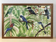 Ilustração Pássaros, Quadro, Decoração, Reprodução do Original, Gravura, Giclée, Edição Limitada, Número de série, Painel, Aves, Pintura