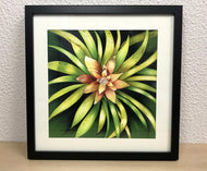 Ilustração Bromélia, Planta Tropical, Floresta, Quadro, Decoração, Reprodução Original, Edição Limitada, Número de série, Fineart, Giclée