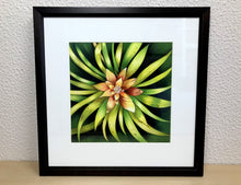 Carregar imagem no visualizador da galeria, Ilustração Bromélia, Planta Tropical, Floresta, Quadro, Decoração, Reprodução Original, Edição Limitada, Número de série, Fineart, Giclée
