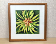 Ilustração Bromélia, Planta Tropical, Floresta, Quadro, Decoração, Reprodução Original, Edição Limitada, Número de série, Fineart, Giclée