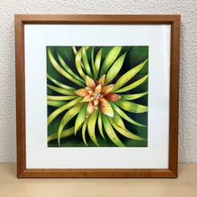 Carregar imagem no visualizador da galeria, Ilustração Bromélia, Planta Tropical, Floresta, Quadro, Decoração, Reprodução Original, Edição Limitada, Número de série, Fineart, Giclée
